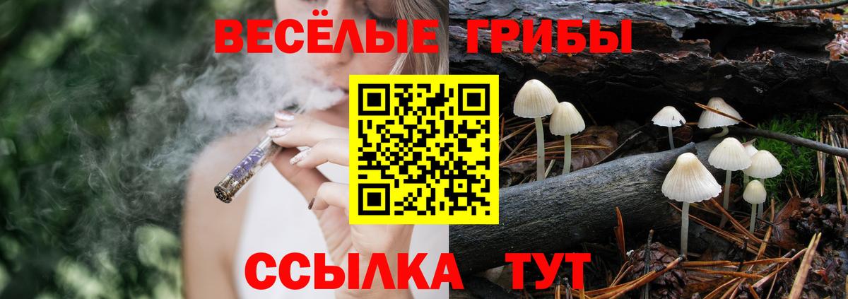 Псилоцибиновые грибы ЛСД Новокуйбышевск